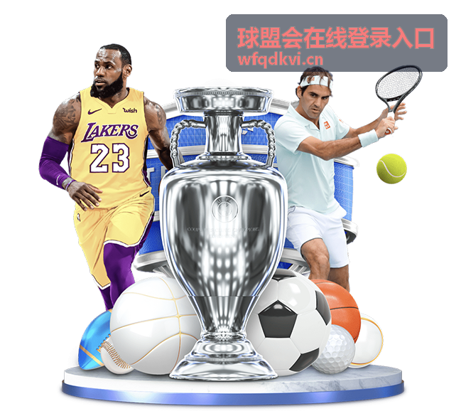 球盟会在线登录入口验证码验证界面截图